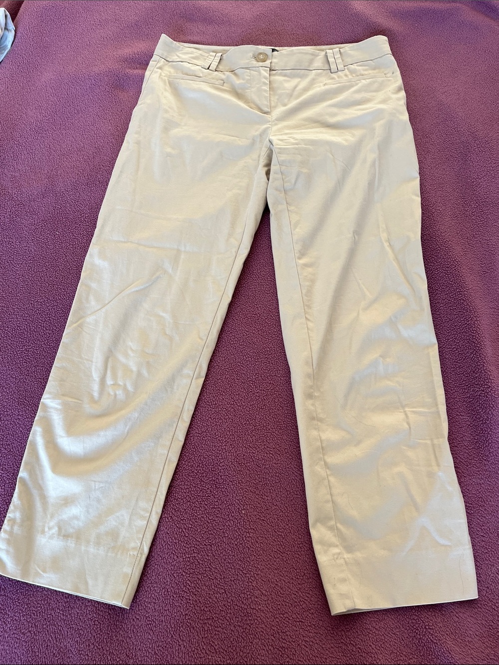 Ann Taylor Classic Light Beige Dress Pants